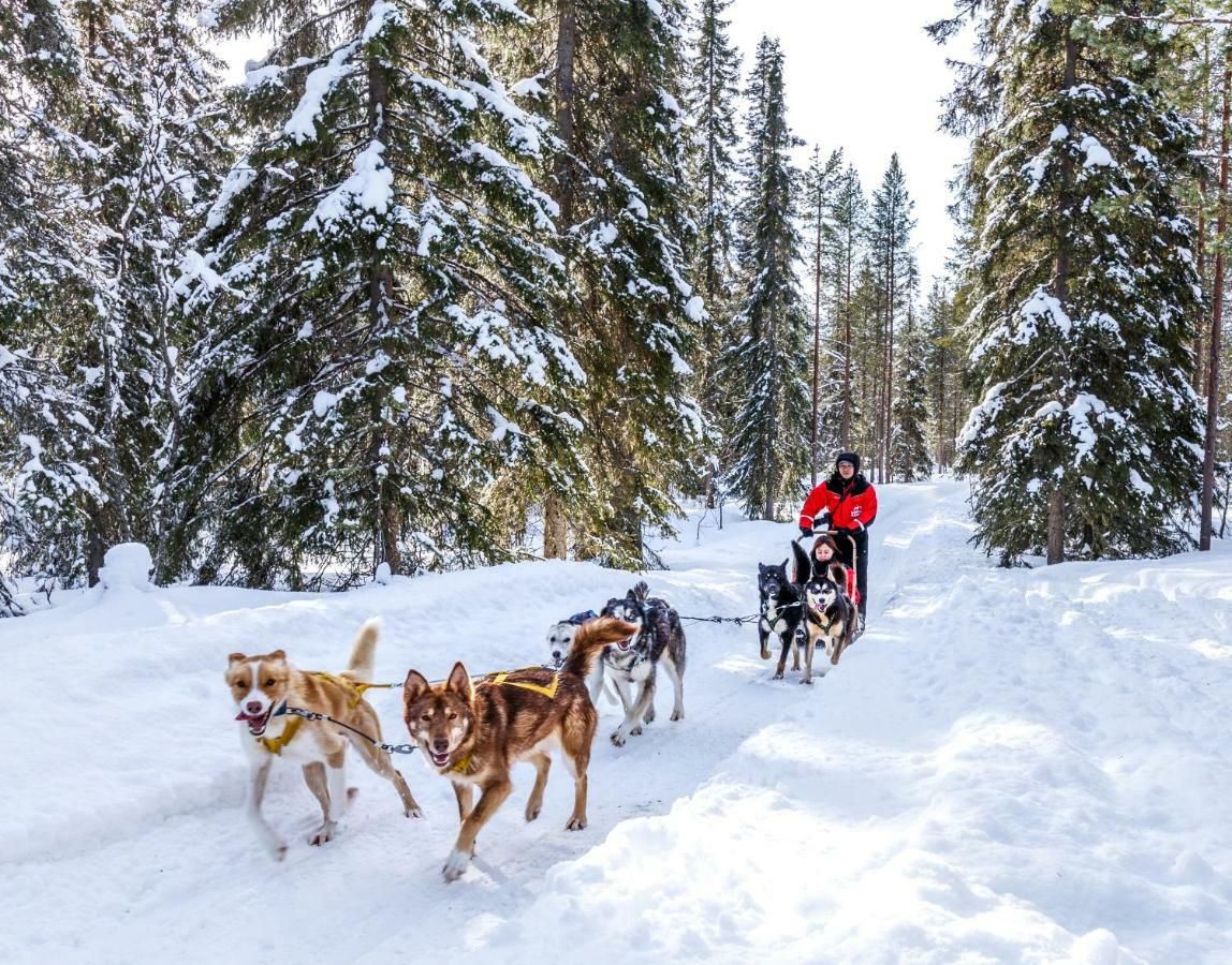 Lapland Hotels Bear'S Lodge Sinetta Bagian luar foto